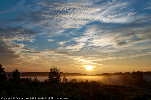 Ashdown Forest just after sunrise Picture Board by Justin Lowe