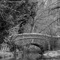 Buy canvas prints of Bridge through the trees by Justin Lowe