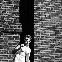 Buy canvas prints of Venus and brick wall by Mark Phillips