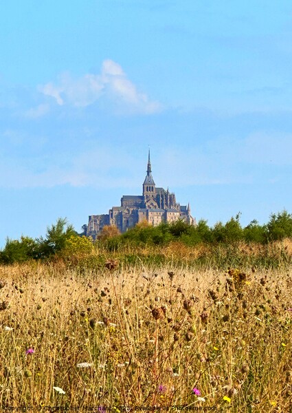 Mont Saint-Michel  Picture Board by Christopher Marchant
