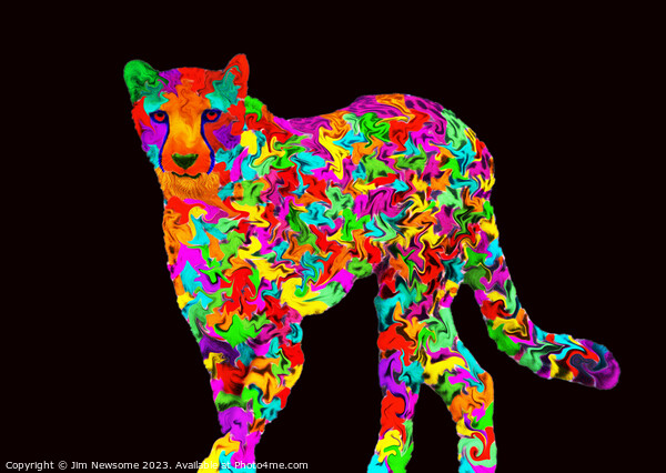 Multi coloured Cheetah Picture Board by Jim Newsome