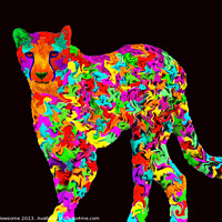 Buy canvas prints of Multi coloured Cheetah by Jim Newsome