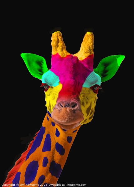 Multi Coloured Giraffe Picture Board by Jim Newsome