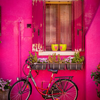 Buy canvas prints of Bike outside pink Burano house, Italy by Bailey Cooper