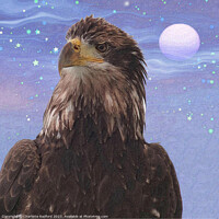 Buy canvas prints of Lunar Illumination: Eagle's Night Watch by Charlotte Radford