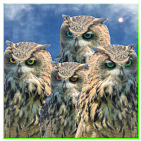 Buy canvas prints of The Watching Owls by Charlotte Radford