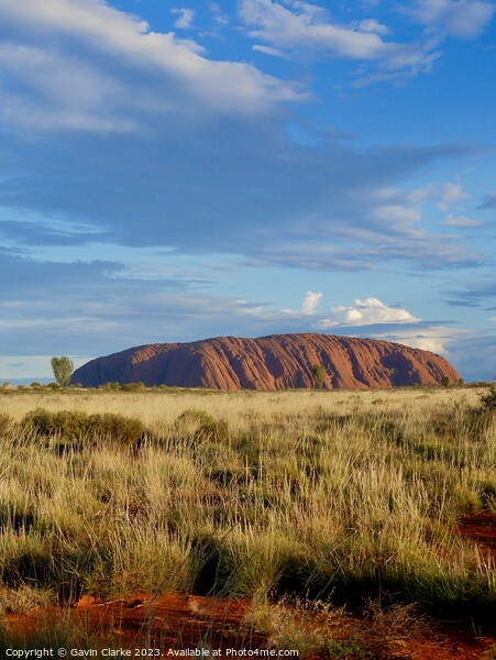 Uluru Wilderness Picture Board by Gavin Clarke