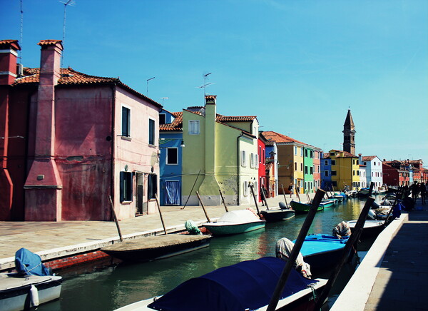 Street with colorful buildings in Burano island, Venice, Italy Picture Board by Virginija Vaidakaviciene