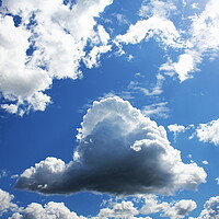 Buy canvas prints of White clouds in blue sky. Blue sky background by Virginija Vaidakaviciene