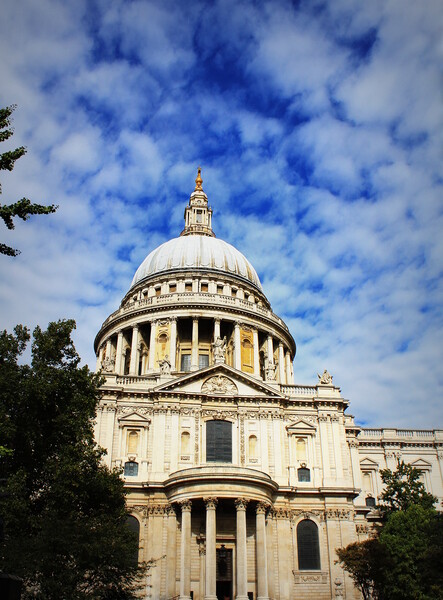 St Paul's cathedral in London and sky with clouds Picture Board by Virginija Vaidakaviciene