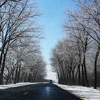 Buy canvas prints of beautiful winter landscape with asphalt road,forest and blue sky by Virginija Vaidakaviciene