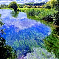 Buy canvas prints of River Itchen Winchester by Kevin Mills