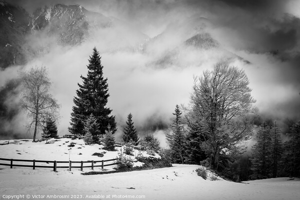 Austrian alps in black and white Picture Board by Ambrosini V
