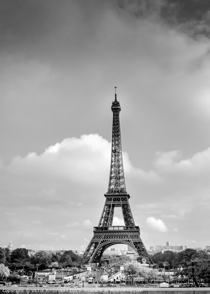 Paris skyline, the Eiffel Tower in black and white Picture Board by Ambrosini V
