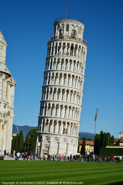 Pisa's Iconic Leaning Tower Picture Board by Ambrosini V