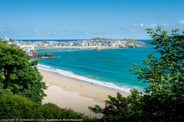 St Ives Harbour Picture Board by Ambrosini V