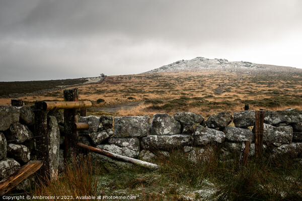 Snow on top of Rippon Tor in Dartmoor National Park, Devon, UK Picture Board by Ambrosini V