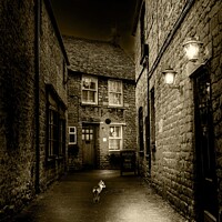 Buy canvas prints of Fox Lane  by Stephen Taylor