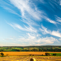 Buy canvas prints of Field of bales near Newmilns in Ayrshire, Scotland by Hugh Maxwell
