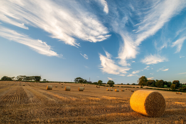 Field of bales near Newmilns in Ayrshire, Scotland Picture Board by Hugh Maxwell