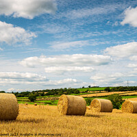 Buy canvas prints of Field of bales near Newmilns, Ayrshire, Scotland. by Hugh Maxwell