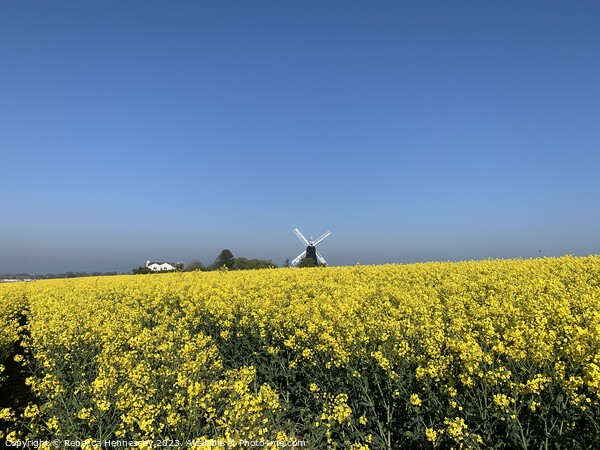 The Rapeseed of Ripple Windmill Picture Board by Rebecca Hennessey