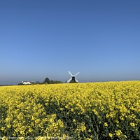 Buy canvas prints of The Rapeseed of Ripple Windmill by Rebecca Hennessey