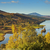 Buy canvas prints of Queens View and Loch Tummel,Tay Forest Park, Perth by Arch White