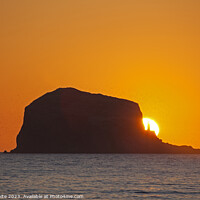 Buy canvas prints of  Bass Rock, sunrise, North Berwick, East Lothian,  by Arch White