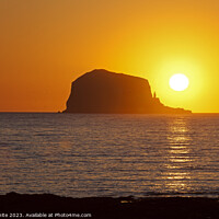 Buy canvas prints of Bass Rock, sunrise, North Berwick, East Lothian, S by Arch White