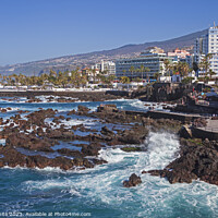 Buy canvas prints of Puerto de la Cruz, Tenerife, Canary Islands, Spain by Arch White