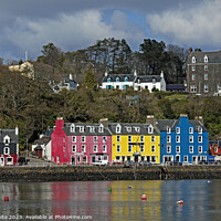 Buy canvas prints of Tobermory, Isle of Mull, Argyll and Bute, Scotland by Arch White