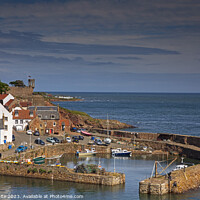 Buy canvas prints of Crail Harbour, Fife, East Neuk, Scotland, UK, Unit by Arch White