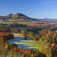 Buy canvas prints of Scott's View and the Eildon Hills, Scottish Border by Arch White