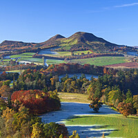Buy canvas prints of Scott's View looking towards the Eildon Hills near by Arch White
