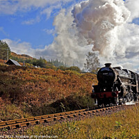 Buy canvas prints of Jacobite Steam Train, Glenfinnan, Lochaber, Scotla by Arch White