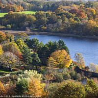 Buy canvas prints of Autumn view of Duddingston Loch and Bawsinch wildl by Arch White