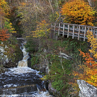 Buy canvas prints of Rogie Falls, Black Water, Strathpeffer, Ross-shire by Arch White