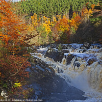 Buy canvas prints of Rogie Falls, Black Water, Strathpeffer, Ross-shire by Arch White