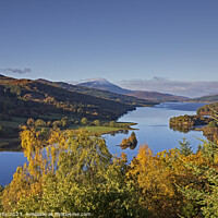 Buy canvas prints of Queen's View, Perth and Kinross, Perthshire, Scotl by Arch White