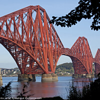 Buy canvas prints of Forth Rail Bridge, South Queensferry, Edinburgh, S by Arch White
