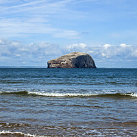 Buy canvas prints of Bass Rock, Firth of Forth, East Lothian, Scotland, by Arch White