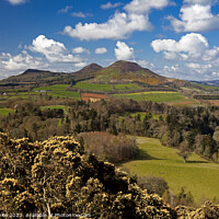 Buy canvas prints of Scott's View, Eildon Hills in background, Melrose, by Arch White