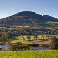 Buy canvas prints of Eildon Hills with River Tweed, Melrose, Scottish B by Arch White