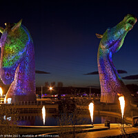 Buy canvas prints of The Kelpies at The Helix project, Grangemouth, Sco by Arch White