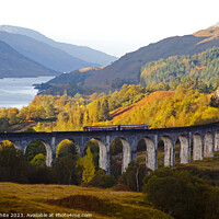 Buy canvas prints of  First Scotrail Diesel, Glenfinnan Viaduct, Lochab by Arch White
