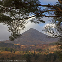 Buy canvas prints of Goat Fell mountain, Isle of Arran, North Ayrshire, by Arch White