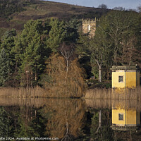 Buy canvas prints of Reflections at Duddingston Loch, Edinburgh, Scotla by Arch White