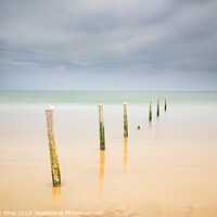 Buy canvas prints of Beach Posts at Castlerock. by Michael Mc Elroy