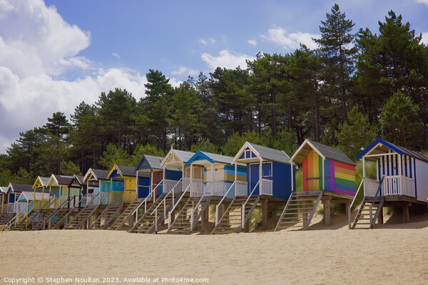 Beach huts Picture Board by Stephen Noulton